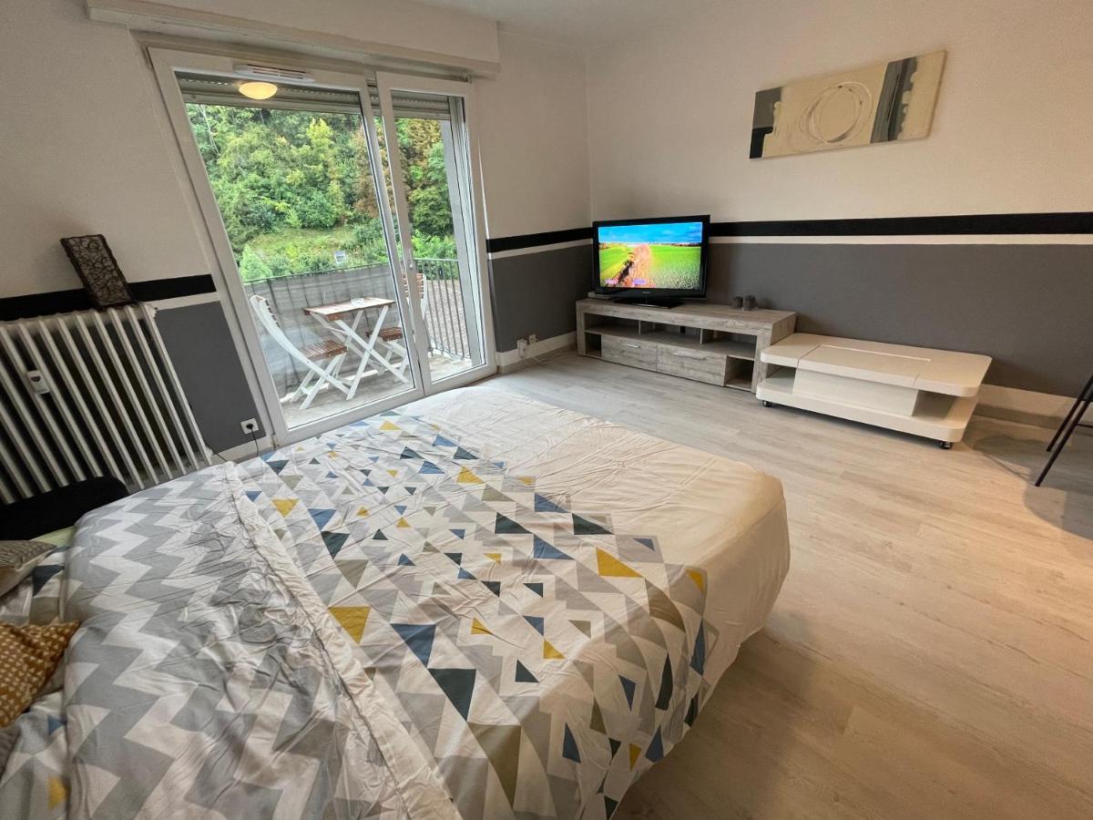 F1 Terrasse Hydromassage Led, Colmar A 5Min, Calme Apartment Винценайм Екстериор снимка